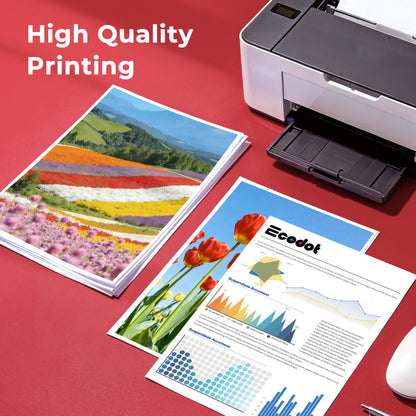 PGI-220 CLI-221 Ink Cartridges Compatible for Canon 220 221 Ink Work for Canon Pixma MX870 MX860 MP560 MP640 MP620 Printer (5 Pack)